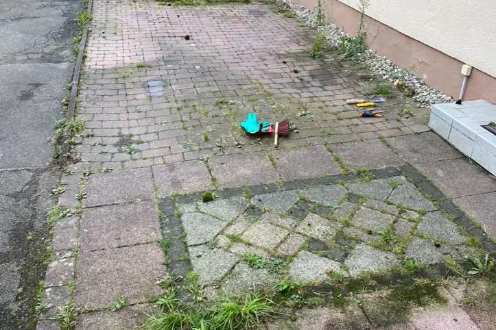 Einfahrt vor der Reinigung, Pflaster mit Moos und Grauschleier